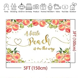 Mocsicka Sweet Peach Backdrop for Girl Baby Shower