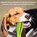 YOMERTO Dog Toothbrush 2019 Upgraded Version Dog Chew Toy Tooth Cleaner Dog Teeth Brushing Stick 100% Natural Rubber Doggy Puppy Oral Dental Care