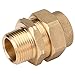 HomeFlex 11-436-007 3/4-Inch Brass Corrugated Stainless Steel Tubing  x MIPT Male Adapter primary