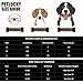 Dog Collars Harnesses an Leashes Set , Petlucky 2 IN 1 No-Pulling Adjustable Pet Harness Lead for Large dogs (L)