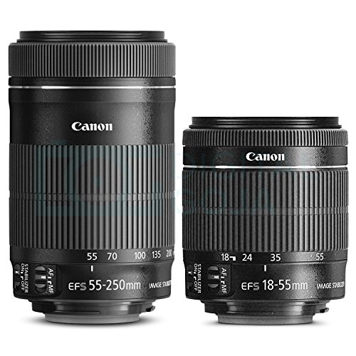 Canon EOS 80D DSLR Camera with EF-S 18-55mm f/3.5-5.6 IS STM and EF-S 55-250mm f/4-5.6 IS STM Lens w/Advanced Photo and Travel Bundle