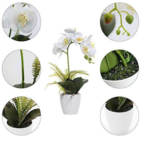Omygarden Artificial Orchid Flowers with White Pot, Phalaenopsis, Fake