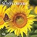 Sunflowers 2020 7 x 7 Inch Monthly Mini Wall Calendar, Flower Outdoor Plant by 