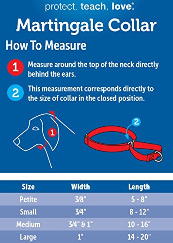 PetSafe-Petite-Martingale-Collar