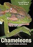 Chameleons of Southern Africa by Marius Burger, Krystal Tolley