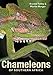 Chameleons of Southern Africa by Marius Burger, Krystal Tolley