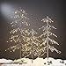 LIGHTSHARE 3 ft. Snowy Fir Tree, 72 LED Lights, for Indoor and Outdoor Use, Warm White, for Home Festival Party Christmas (3FT)