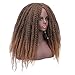 AISI HAIR Long Dreadlock Wig Marley Hair for Twists Wigs for Black Women Synthetic Fiber 16 Inch Black Mix Brown Color(1B/27#)