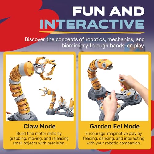 Softtube Bionic Garden EEL Robotic Arm Kit | Omni-Directional STEM Robot Toy | Battery-Free DIY STEM Engineering Toys for Kids and Teens | Gifts for Kids Age 10 and Up | Bilingual Manual | 297 Pieces