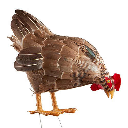 Brown Feathered Feeding Artificial Hen | with Attached Wires | for Indoor Decor