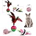 Cat Toys Kitten Toys Assortments(30 Packs ),2 Way Tunnel,Cat Balls with Bells,Cat Feather Toy,Cat Mice Toy,Cat Crinkle Balls ,Puppy,Kitty,Kitten