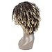LMY Short Afro Kinky Curly Synthetic Wigs For Black Women Ombre Blonde Color Natural Hair Wigs With Bangs Cosplay Hair Cut (ombre blonde)