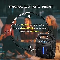 EARISE Vigorowl T65 Portable PA System with 2