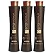 HONMA TOKYO Coffee Premium Hair Treatment 3 Steps (3 litres) (3 X 500ML)