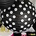 Bobee Black and White Paper Lanterns Party Decorations, set of 5