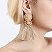 Boderier Bohemian Statement Thread Tassel Chandelier Drop Dangle Earrings with Cassandra Button Stud (Brown)