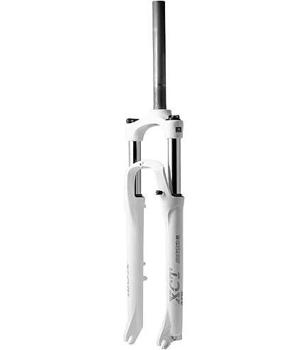 Amazon.com : SR Suntour Raidon Fork 27.5Inches 100mm Remote