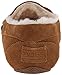 BOBS from Skechers Women's Cozy JR-Northern Lights Flat