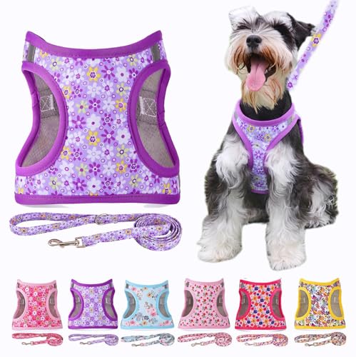 Moonpet Step in Air Dog Harness Leash Set- All Weather Reflective No-Pull Floral Pattern Padded Mesh Vest Harness for Cats Puppy Extra-Small Small Medium Large Dogs - Purple Flower M