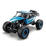 RC Car,ToyPark 1:14 Scale 2.4Ghz 4WD Remote Control Truck RC Rock Off-Road Vehicle Electric Car