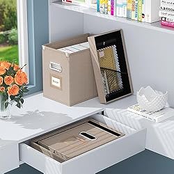 Huolewa File Organizer Box with Mesh