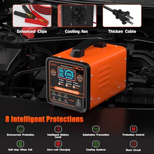 Caricabatterie Auto 12V/24V 20A Professionale, Caricatore e Mantenitore Automatico con Modalità Riparazione, Programma Invernale, Arresto Automatico,Ricarica Rapida per Auto,Camion,Moto,Camper