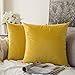 MIULEE Pack of 2 Velvet Soft Solid Decorative Square Throw Pillow Covers Set Cushion Case for Fall Sofa Bedroom 16x16 Inch 40x40 Cm Lemon Yellow
