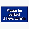 Please Be Patient I Have Autism Sticker Vinyl Bumper Sticker Decal Waterproof 5"