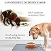 VIVAGLORY Dog Food Mat, Cat Dog Feeding Mat, Waterproof Non-Slip Food Grade Silicone Mat Placemat with Raised Edge, Anti-Messy Pet Bowl Mat for Food and Water, Grey, L(24