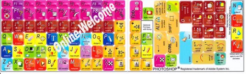 ADOBE PHOTOSHOP Keyboard Sticker