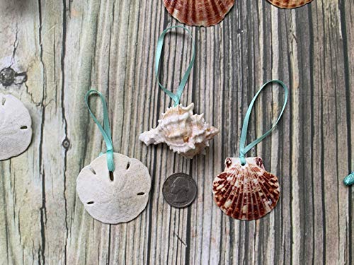 51fzYjm%2BdPL 51fzYjm%2BdPL