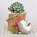 Neomark Tyoungg 4 Pack Flocked Green Artificial Succulent Cactus Plants Echeveria Unpotted Long Stem for Wreath Making Wedding Bouquet Making 3.33”Wide x 5”Tall