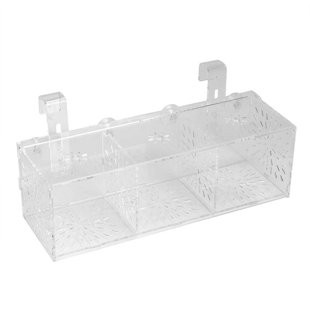 Pssopp Fish Tank Breeding Isolation Box Aquarium Acclimation Hatchery Incubator Acrylic Transparent Aquarium Hatchery Incubator Holder(30CM*10CM*10CM)
