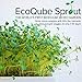 EcoQube Sprout – Easy and Affordable Herb Garden Starter Kit Indoor – Grow Organic Microgreens and Plants – an Indoor Herb Garden That Includes Seeds and Growing Traysthumb 1