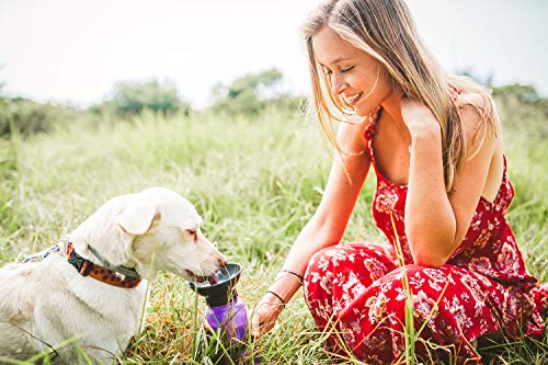 4 Highwave+A1608+AutoDogMug+Purple