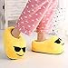 Sunglasses Slippers Comfortable Indoor Shoe for Big Kids & Women with Non-Skid B11803