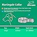 EXPAWLORER Martingale Collars for Dogs, Heavy Duty Nylon Dog Collar Large