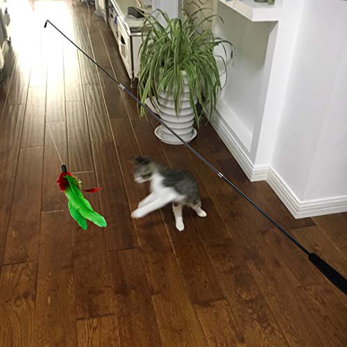 6 Feather+Retractable+Assorted+Interactive+Exerciser