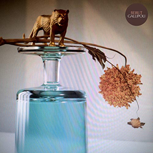 Album Art for Gallipoli by Beirut