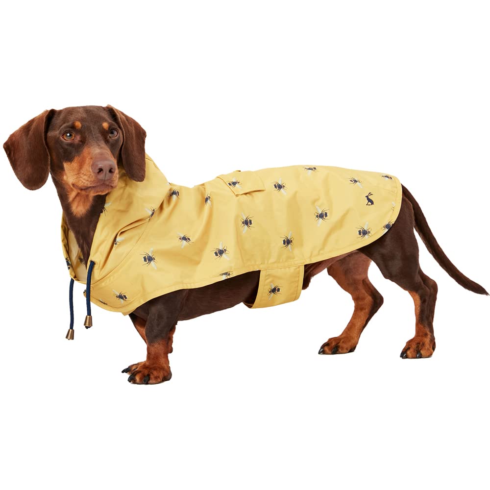 Rosewood x Joules Bee Print Packaway Dog Jacket, Small – Lightweight Water-Resistant Coat with Hood, Adjustable Velcro Fastenings, Portable for Travel & Walks