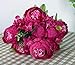 Duovlo Springs Flowers Artificial Silk Peony Bouquets Wedding Home Decoration,Pack of 1 (Spring Hot Pink)