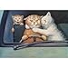 HOT SALE ! 5D Diamond Diy Painting Full Drill Handmade White Tiger Mother Child Under Moonlight Starry Sky Cross Stitch Home Decor Embroidery Kit ❤️ ZYEE (H)