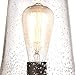 Westinghouse 6347000 Brynn One-Light Outdoor Post-Top Fixture, Oil Rubbed Bronze Finish with Highlights and Clear Seeded Glass