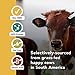 AMANDEAN Premium Gelatin Powder XL. Grass-Fed Beef Collagen Protein Supplement. Unflavored. Healthy Skin, Hair, Nails, & Gut. Paleo Friendly Cooking and Baking. 18 Amino Acids. Non-GMO.