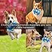 NEILDEN Interactive Dog Toys Plush Giggle Ball Toys Puppy Motorized Entertainment for Pets Automatic Electronic Shake Crazy Exercise Boredom Bouncer Toys for Small to Medium Dogs ……