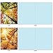 The Best Card Company - 10 Beautiful Note Cards Blank (4 x 5.12 Inch) - Fall and Autumn Season, Boxed Notecard Assortment - Over the Top M2006