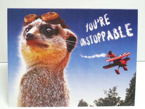 Funny Meerkat Aviator Inspirational Card