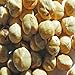 Indus Organics Jumbo Turkish Roasted Hazelnuts, 1 Lb Bag, Sulfite Free, Salt Free, Premium Grade, Freshly Grade