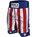 Title Boxing Title American Flag Boxing Trunks