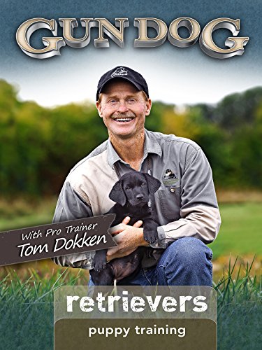 Gun Dog Puppy Training Retrievers